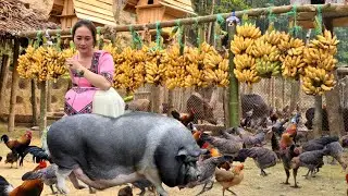 Touching Love Story : Vang Hoa Waiting for Sick Lover to Return – A Lifetime Promise !