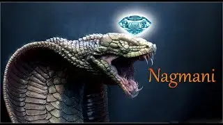 nagamani real video || braking news || latest 2017