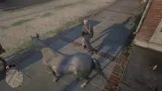 rdr 2 shits and giggles