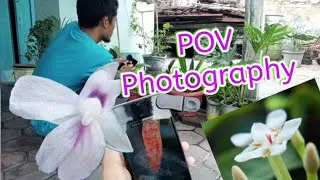 POV Macro Photography di taman di belakang rumah