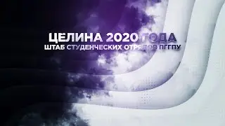 Целина 2020 штаба студенческих отрядов ПГГПУ