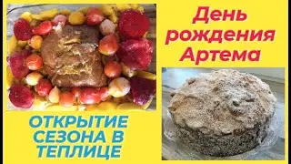 ДНЮШКА АРТЕМА / ОТКРЫТИЕ  СЕЗОНА В ТЕПЛИЦЕ / ПОКУПКИ ФАБЕРЛИК