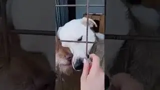 Бобби и Джемме не хватает внимания