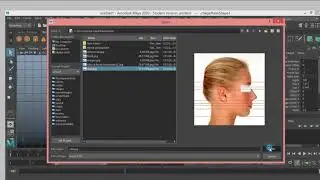How to import image in maya 2020 for beginner tutorial