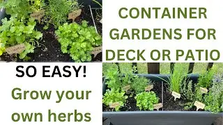 HOW TO -  PLANT AN EASY HERB GARDEN  FOR YOUR DECK OR PATIO