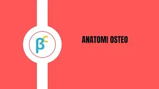 Pengantar Anatomi Osteo || Beta_Casein Class
