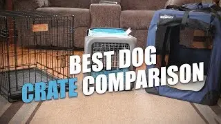 Best Dog Crate Comparison and Testing