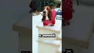 Ради таких новостей вы сюда подписаны