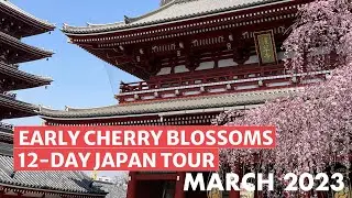 Early Cherry Blossom 12-day Japan Tour: March 2023