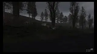 Баг сталкера