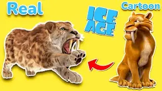 ice age Characters in real life 💥