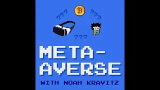 Meta-Averse with Noah Kravitz