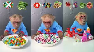 Eat fruit sticker order