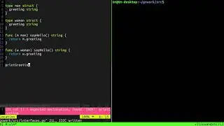 Golang Interfaces