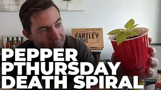 Death Spiral Pepper - Pepper Pthursday