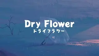 Yuuri 優里 - Dry Flower ドライフラワー feat Riria  りりあ Lyrics Video