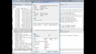 Investigating ICMP Errors With Wireshark