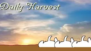 Toby fox NEW 