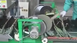 Roots, Leaves cutting and Peeling machine for Long leeks with a 10 hp compressor