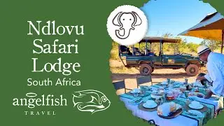 Ndlovu Safari Lodge: Affordable Luxury in Big 5 Territory | South Africa Safari
