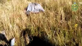На кордоні з Росією прикордонники збили безпілотний літальний апарат
