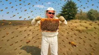UN DIA TRABAJANDO CON MILLONES DE ABEJAS