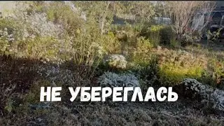 #697НЕ
