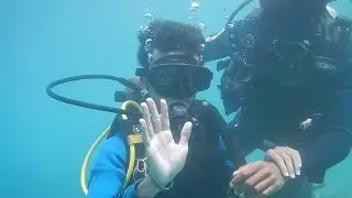 Under Water Scuba Diving At Andaman. The Magnificent Life In The Deep Of The Water.