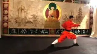Shaolin Warrior Journey video.flv