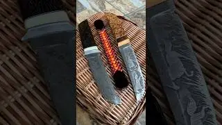 Evro chetki 