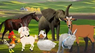 funny farm animal sounds around us rabbits, cats, cows, horses, ducks, chickens