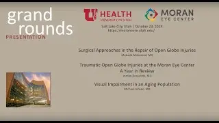 Repair of Open Globe Injuries; Traumatic Open Globe Injuries; Visual Impairment in Aging Population