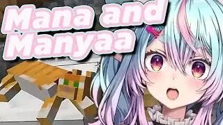 Story of Mana and her Cat