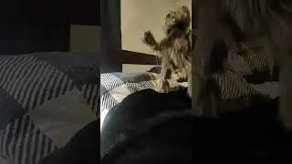 Teddy Bloopers