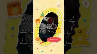 best qawwali Zareen#golden #status (5)