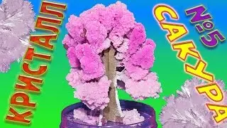Magic Sakura DIY Crystal Growing Fun from Aliexpress. Makes a great gift!