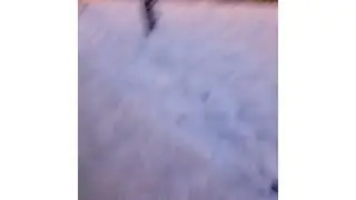 Нашли заброшенную баржу )