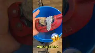 A rock with a noise inside?! #geode #crystals #rockhound