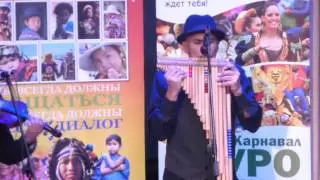 Культурная неделя Боливии. Концерт 25.10.2015 (6)