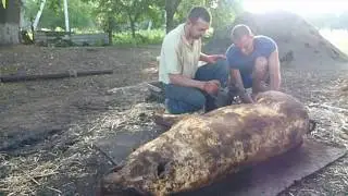 СЕЛЯНИ ГОЛОДУЮТЬ (копчення.)