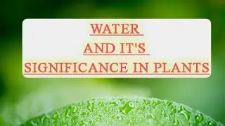 WATER AND ITS SIGNIFICANCE IN PLANTS #viral #viralvideo #trending #video #exam #agriculture