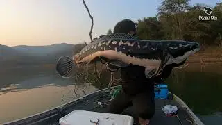 ตกปลาชะโดแพคู่