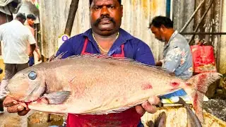 KASIMEDU SPEED SELVAM FISH CUTTING VIDEO CUTTING FOCUS