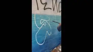 Graffiti Removal on Coated Mural
