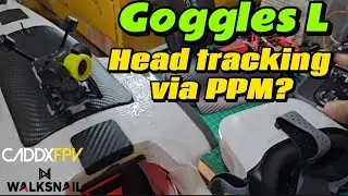 Headtracking via PPM on Walksnail Goggles L?