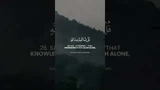 Surat Al-Mulk Challenge | Verse 26 | Memorize One Verse Each Day