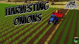 Farm Manager 2021 Ep 11 | Harvesting Onions |