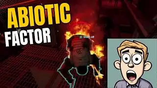 Abiotic Factor Part 4