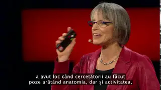 Zone ale creierului care reflecta culorile, recunoașterea feței, spațiul, prin RMN