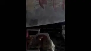 Сон Даши